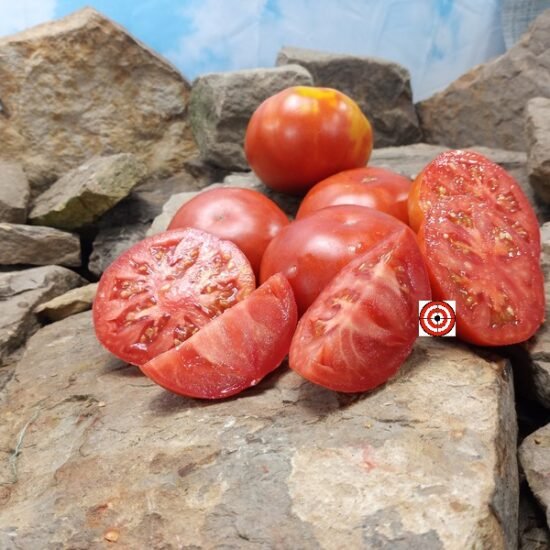 Muchamil Tomato Heirloom Tomato