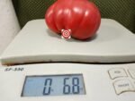 Mushroom Basket Tomato