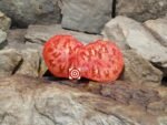 Mushroom Basket Tomato Heirloom Tomatoes.
