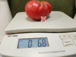 Mushroom Basket Tomato Seeds.