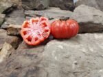 Mushroom Basket Tomato Seeds