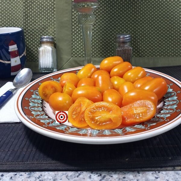 Orange Santa Tomato