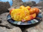 Pee Wee Valley Floyd's Sunrise Tomato