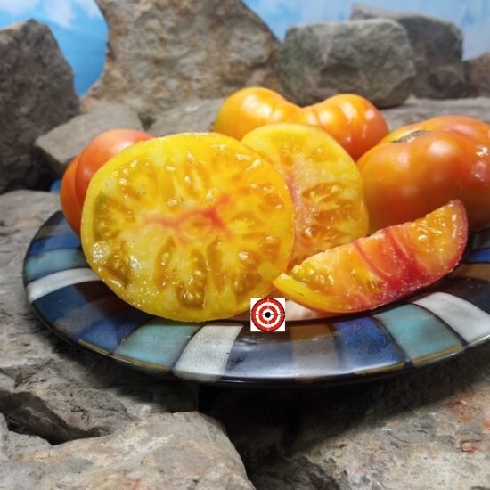 Pee Wee Valley Floyd's Sunrise Tomato