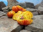 Pee Wee Valley Floyd's Sunrise Tomato Seeds