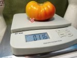 Pee Wee Valley Floyd's Sunrise Tomato Slicing Tomato