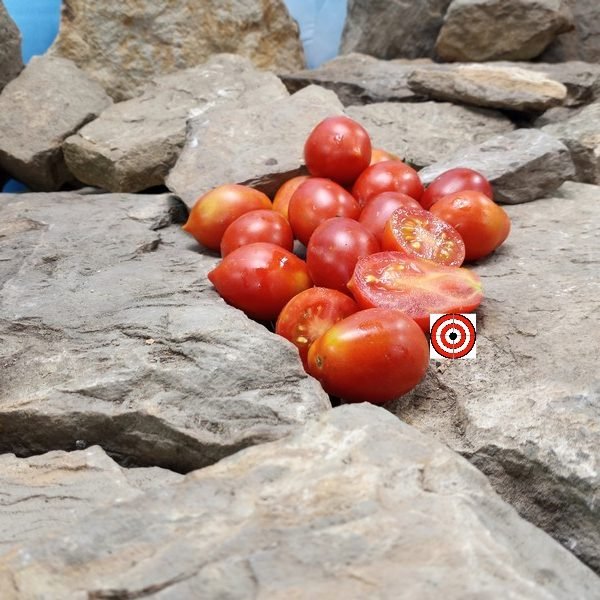 Piennolo Del Vesuvio RL Tomato Heirloom Tomatoes