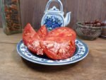 Primorski Pacug Tomato