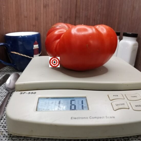 Primorski Pacug Tomato Heirloom Tomato