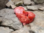 Primorski Pacug Tomato Seeds