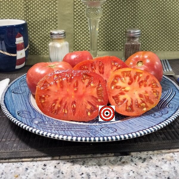 Purple Perfect Tomato