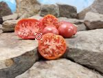 Purple Perfect Tomato Heirloom Tomato