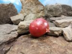 Purple Perfect Tomato Sandwich Tomato