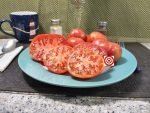 Purple Perfect Tomato Slicing Tomato