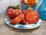 Rosedale Tomato