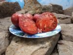 Rosedale Tomato Seeds