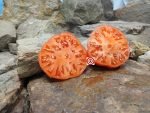 Sandul Moldovan Tomato Heirloom Tomato