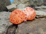 Sandul Moldovan Tomato Seeds