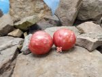 Streak Legal Dwarf Tomato Seeds