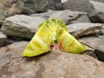 True Colors Tomato Seeds