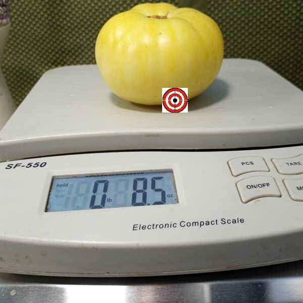Yazon Tomato