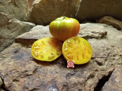 Rare Tomatoes Jewel Tone Tomato Seeds Available Here. - Bounty Hunter ...