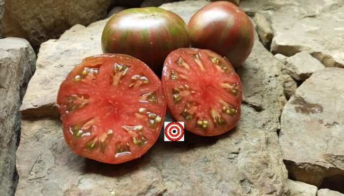 Pink Berkeley Tie Dye Tomato Seeds For sale At Bounty Hunter Seeds