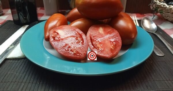 The Best Sauce Tomatoes Polish Linguisa Tomato Seeds Available Here.