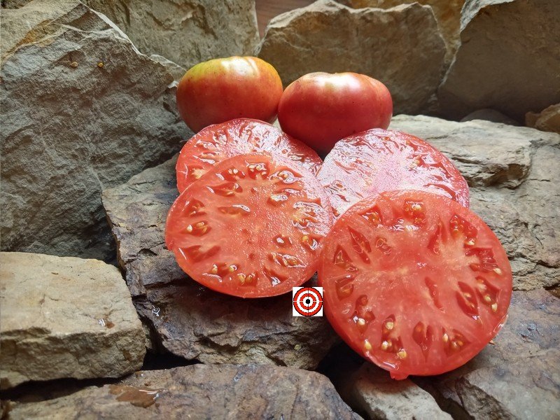 A Popular Beefsteak Tomato Cutlers Heirloom Tomato Seeds For Sale Here