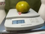 Abraham Green Tomato - Image 6