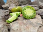 Abraham Green Tomato - Image 4