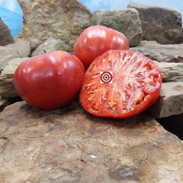 Aunt Eula Rock House Pink Tomato Heirloom Tomatoes