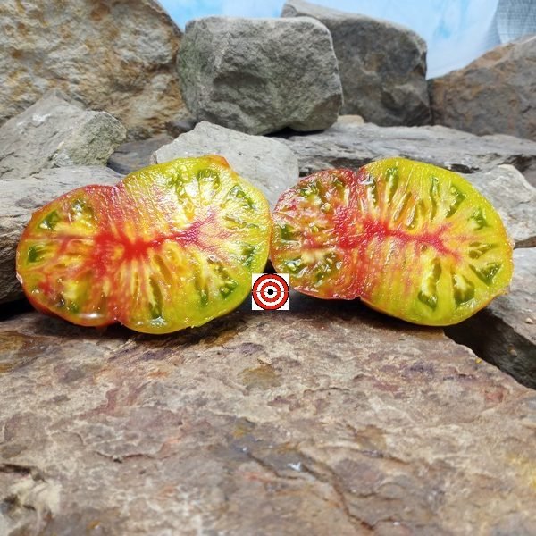 Beauty Kiss Dwarf Tomato