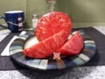 Big Cheef Red Tomato Beefsteak Tomatoes