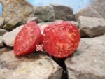 Big Cheef Tomato Red Tomatoes