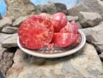 Big Cheef Red Tomato Sandwich Tomatoes