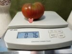 Brazilian Beauty Tomato