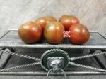 Brazilian Beauty Tomato Seeds