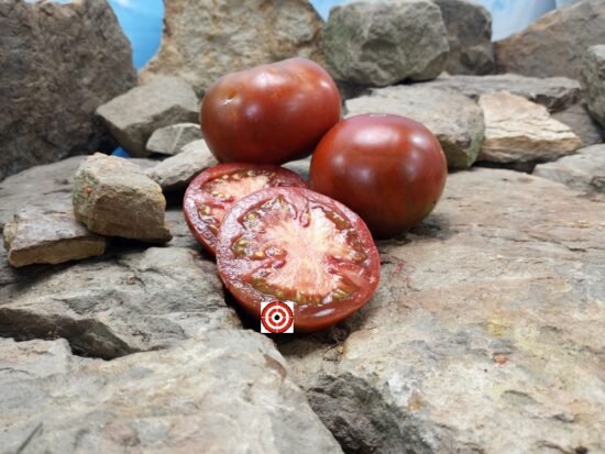 Brown Sugar Tomato Heirloom Tomato