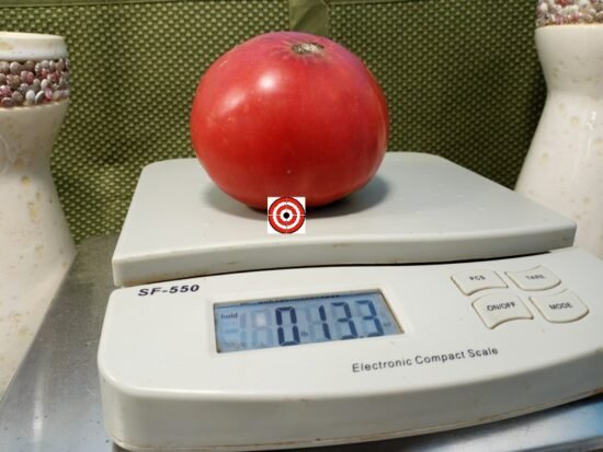 Butterworth's PL Tomato
