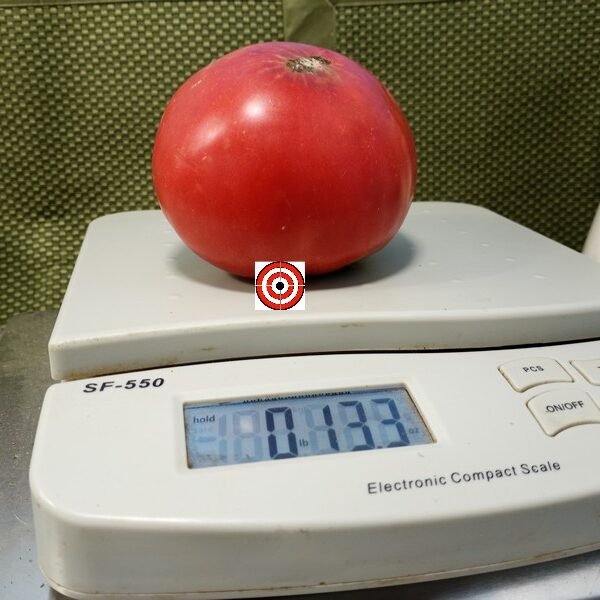 Butterworth's PL Tomato
