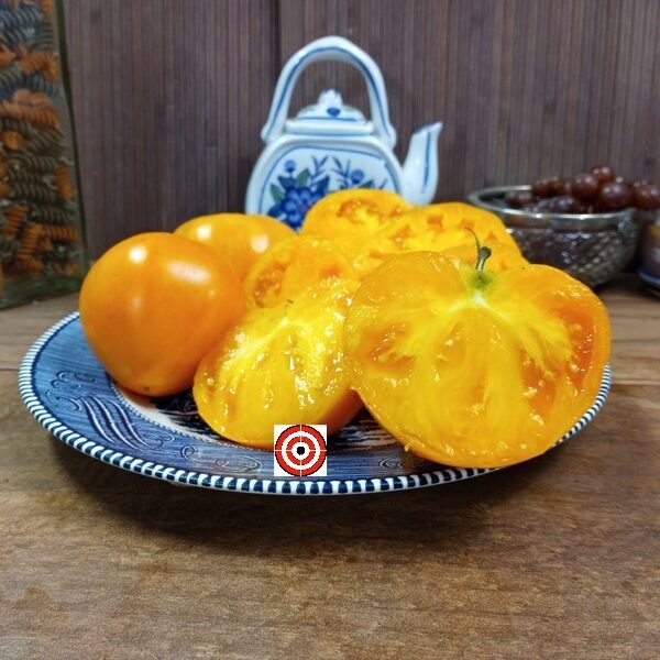 Curtis Cheek Yellow Tomato Rare Tomatoes