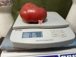 Dark Shekel Tomato
