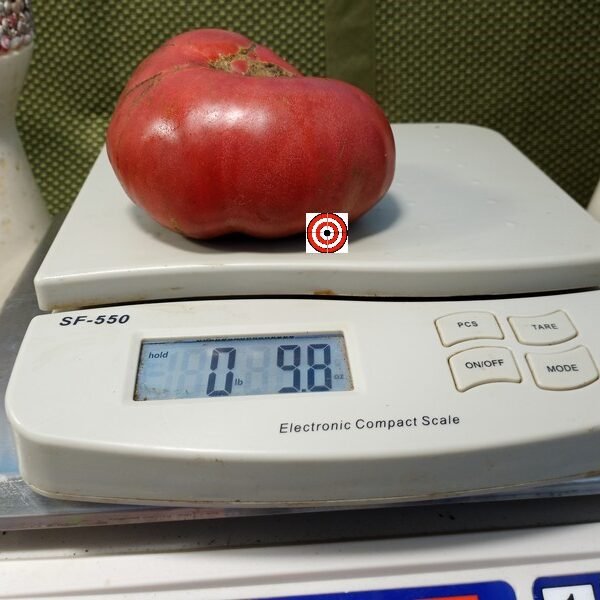 Dark Shekel Tomato