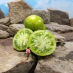 Dwarf Mint Streaks Tomato