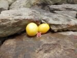 Dwarf Sunny's Pear Tomato Seeds