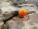 Get Stuffed Tomato