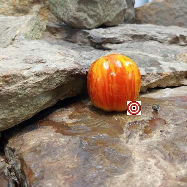 Get Stuffed Tomato