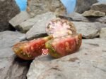 Golova Negra Tomato Seeds