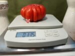 Jamfi Tomato Heirloom Tomatoes